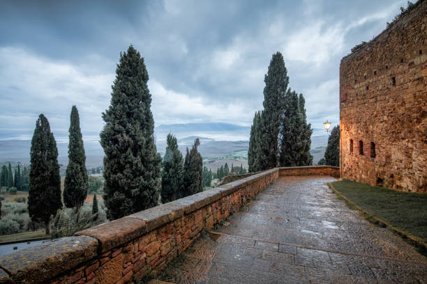 A peaceful pathway in Pienza, Tuscany, bordered by tall cypress trees and leading to a scenic view of the Val d'Orcia. The wet stones and cloudy autumn sky add a moody atmosphere to this UNESCO World Heritage landscape.