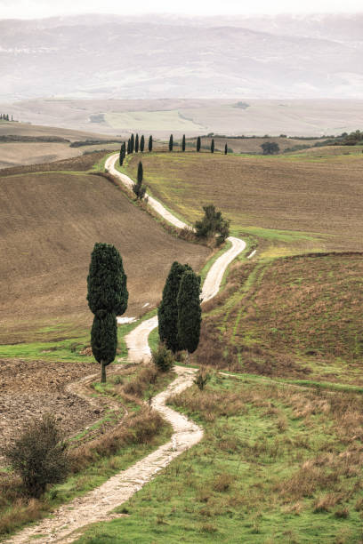 istock Close-Up of Gladiator Road in Val d'Orcia, Tuscany 2181699377