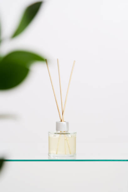 istock Vertical image of glass home fragrance bottle with rattan sticks or reed diffuser bottle on a white isolated background with a plant. The luxury aroma scent for the home, Incense sticks, aromatherapy 2181701859