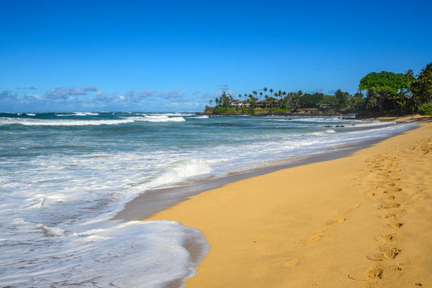 LumahaÊ»i Beach is a beach on the north shore of Kauai, Hawaii.