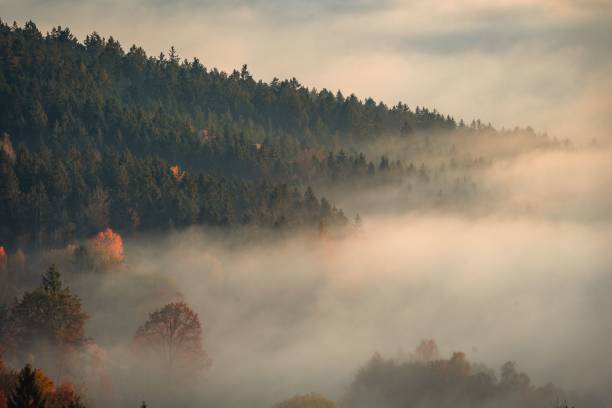 istock Misty forest with autumn foliage and fog 2181716084