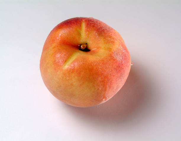 istock Still life of an orange peach, on a neutral background 2181716580