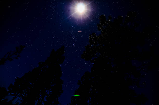 A moon is shining brightly in the sky above a forest. The stars are scattered throughout the sky, creating a peaceful and serene atmosphere
