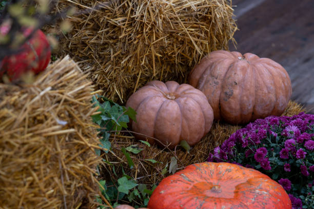 istock Orange pumpkin fall season decoration 2181719020