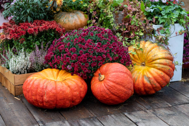 istock Orange pumpkins by blooming flowers 2181719066