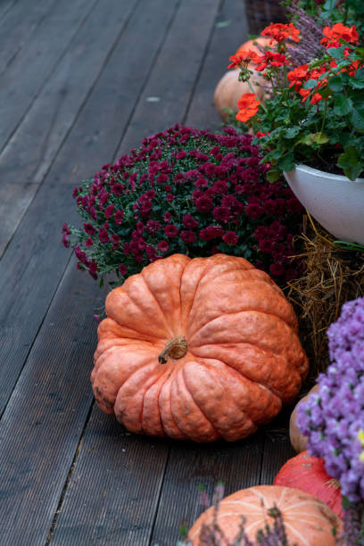 istock Orange pumpkin by colourful flowers 2181720492