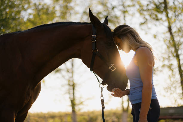 istock Love between woman and a horse! 2181723430