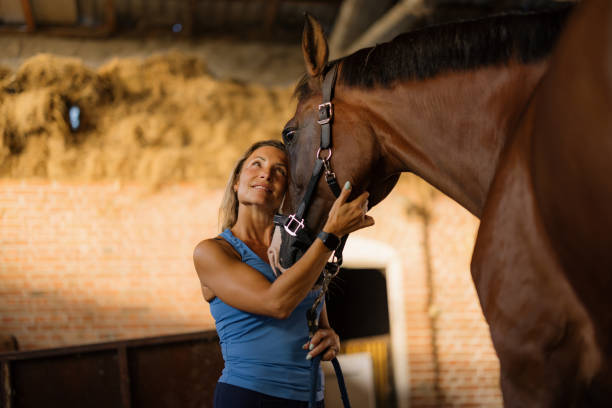 istock You are always and forever my horse! 2181723742