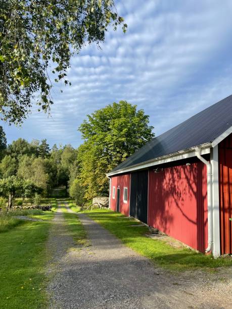 istock Traditional red painted barn in Sweden 2181725910
