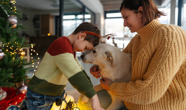 istock Christmas with our dog 2181726345