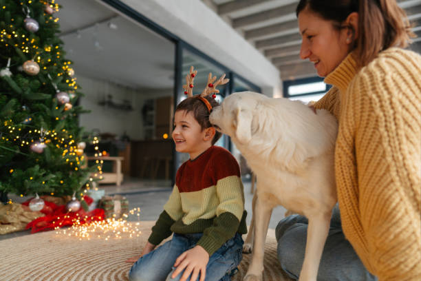 istock Christmas with our dog 2181726362