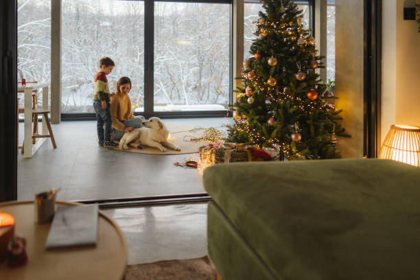 istock Christmas with our dog 2181726445