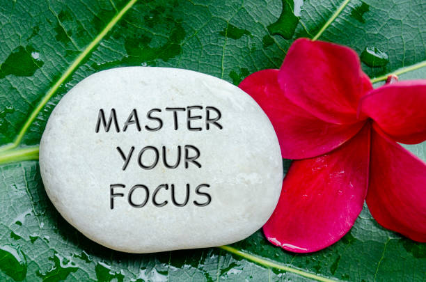 istock Master Your Focus text engraved on white stones red flower and leaf background. 2181729598