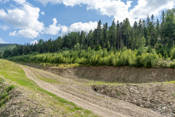 istock Dirt road in the forest 2181736245
