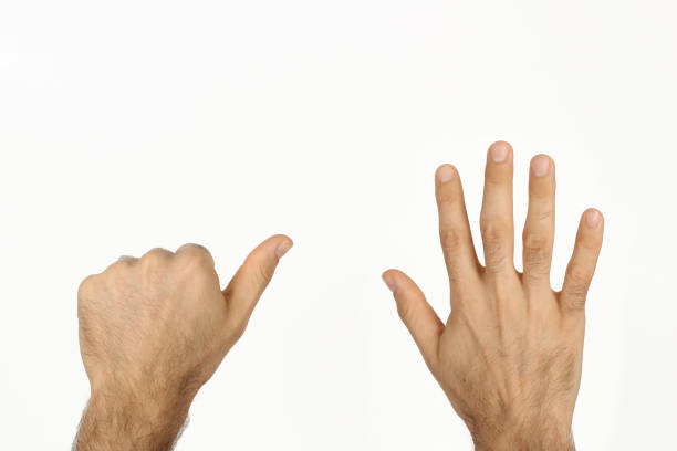 hand of turkish man over white isolated background, counting number 6, showing six fingers, space for text. - altin stok fotoğraflar ve resimler