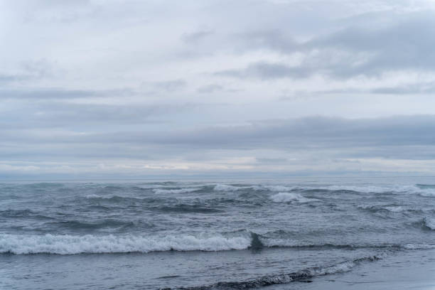 istock Calm Waves on a Black Sand Beach 2181743578
