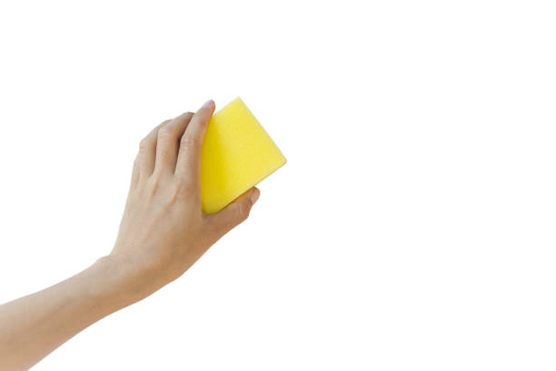 A hand holding a yellow sponge against a white background.copy space