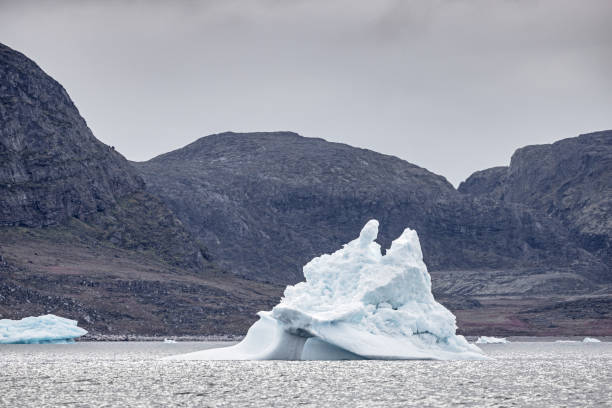 istock Iceberg floating in front of a rocky wall 2181750890