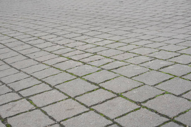 This captivating image displays a cobblestone pavement with various stone textures intertwined with lush green moss, creating an inviting and serene atmosphere for anyone who sees it