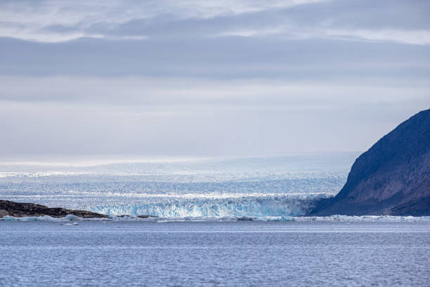 Ice glacier in the fjord and floating ice