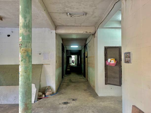 istock Corridor in an abandoned apartment building. 2181752345