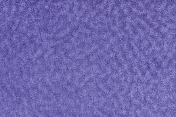 Purple paper texture sheet close up. Large texture and background