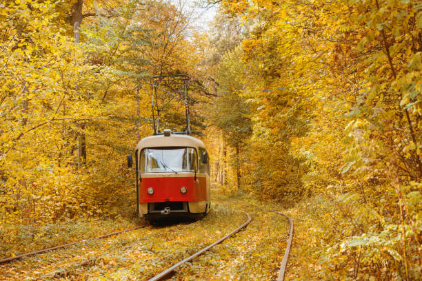 istock Old red tram moving through yellow autumn deciduous forest, fall landscape, ecological transport 2181753476