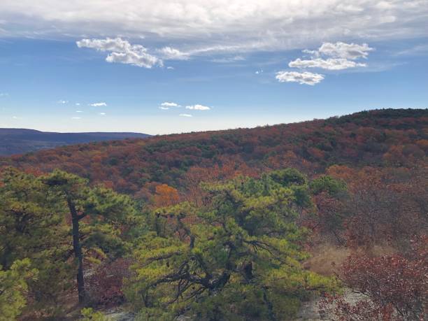 istock Fall Foliage in October at Schunnemunk State Park in New York State. 2181755556