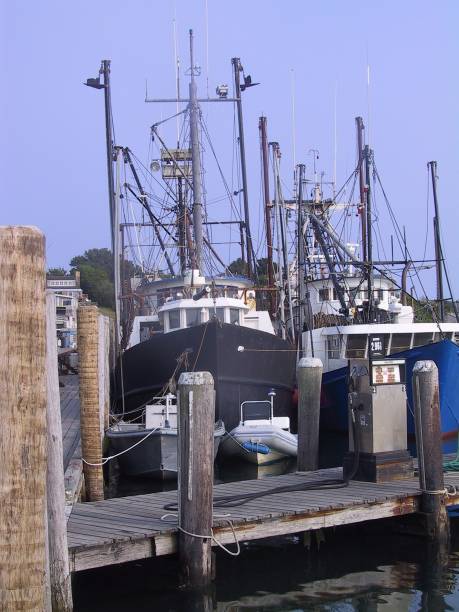 istock Fishing Boats in the Harbor 2181756332
