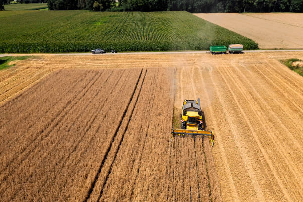 istock Combine harvester in field from above 2181759392