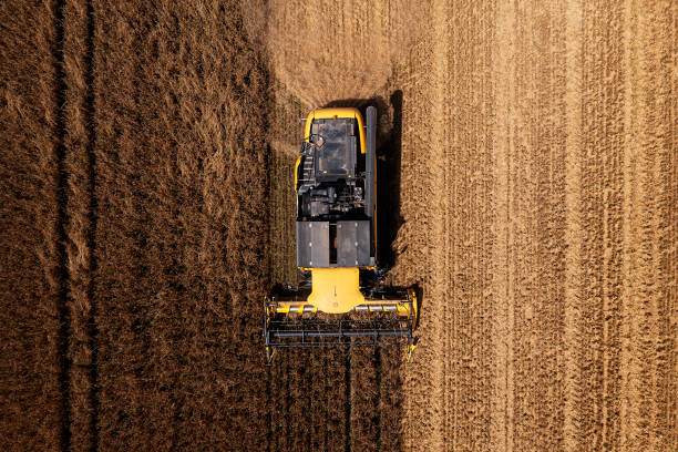 istock Combine harvester in field from above 2181759909