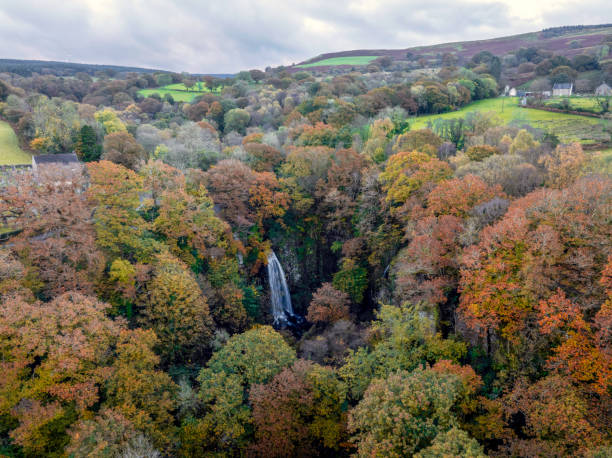 istock Melincourt Falls in Autumn 2181760395