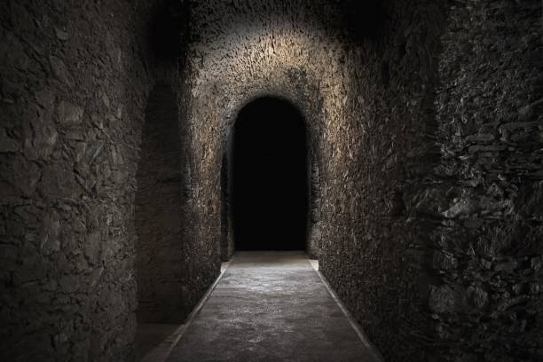 istock Scary underground, old house cellar 2181760534