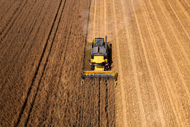 istock Combine harvester in field from above 2181760536