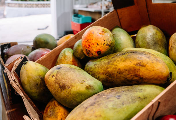 istock A crate of mangoes sits on a sidewalk. 2181760937