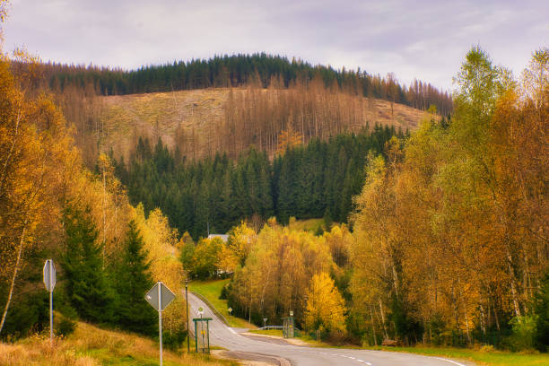 Autumn in the Thuringian Forest