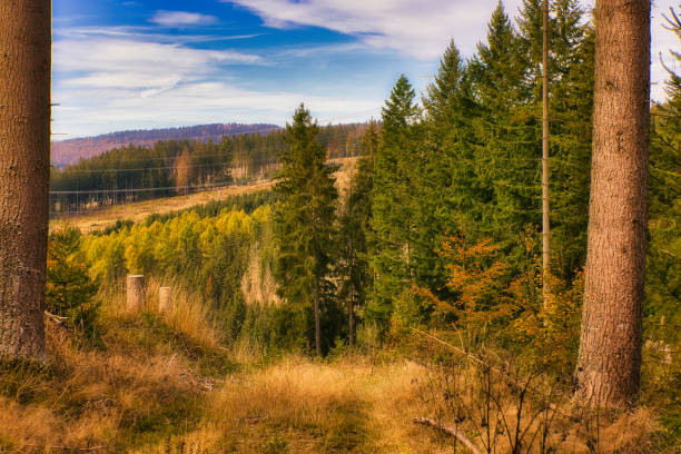 istock Autumn in the Thuringian Forest 2181764760