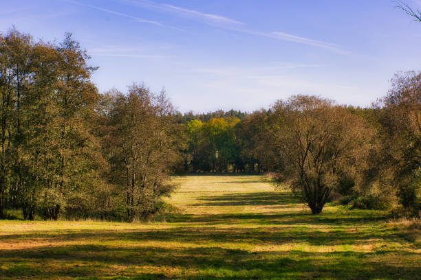 Autumn in the Thuringian Forest