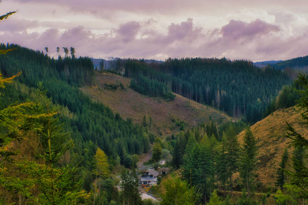 istock Autumn in the Thuringian Forest 2181765282