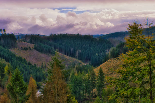Autumn in the Thuringian Forest