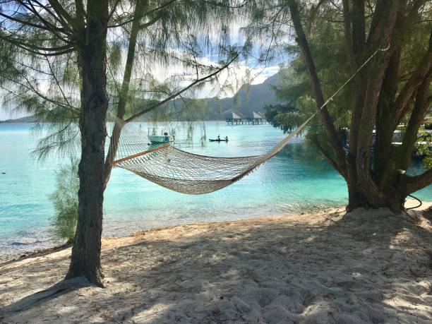 istock Hammock on beach in Bora Bora South Pacific 2181770280