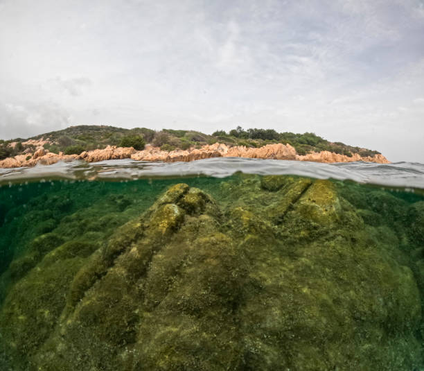 istock Sardinia island summer 2024 Italy 2181773674