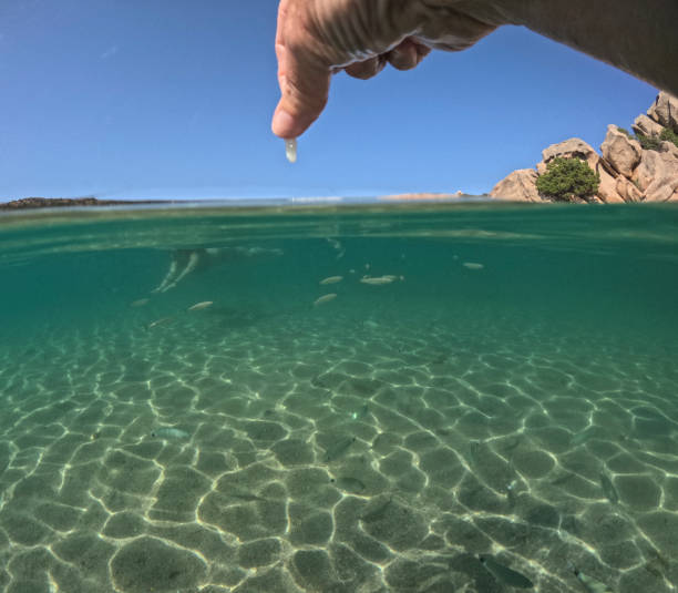 istock Sardinia island summer 2024 Italy 2181773793
