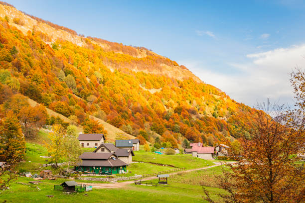 istock Autumn version of Sella Carnizza 2181774140