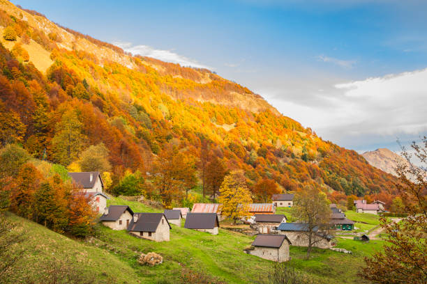 istock Autumn version of Sella Carnizza 2181774249