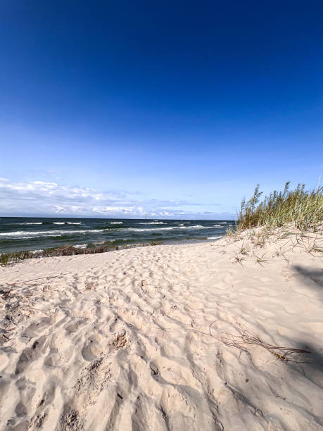 istock Peaceful Beach with Blue Sky and White Sand 2181774865