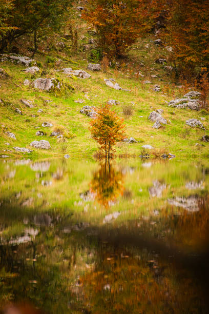 Carnizza village covered by autumn