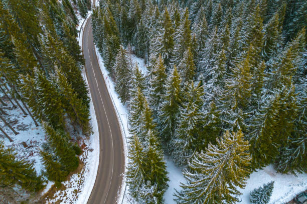 istock Road in the woods 2181776274
