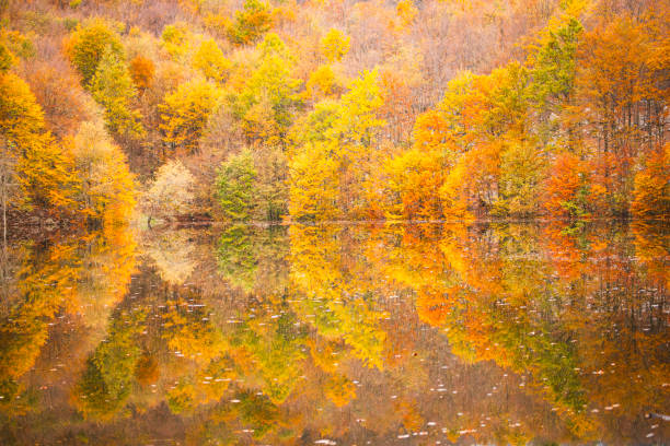 istock Autumn version of Sella Carnizza 2181776622