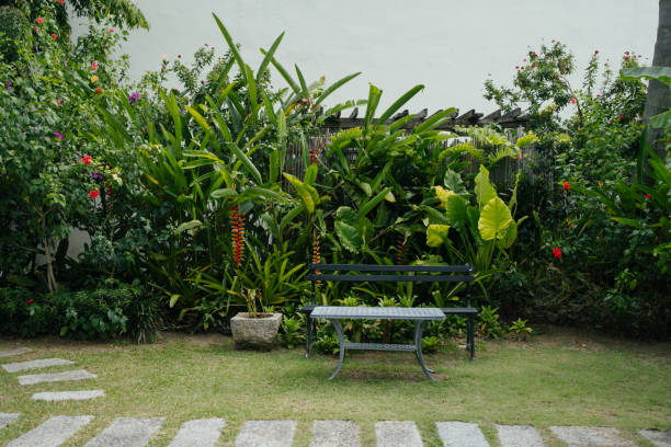 Backyard garden with chairs and a table surrounded by tropical plants. Relax concept.